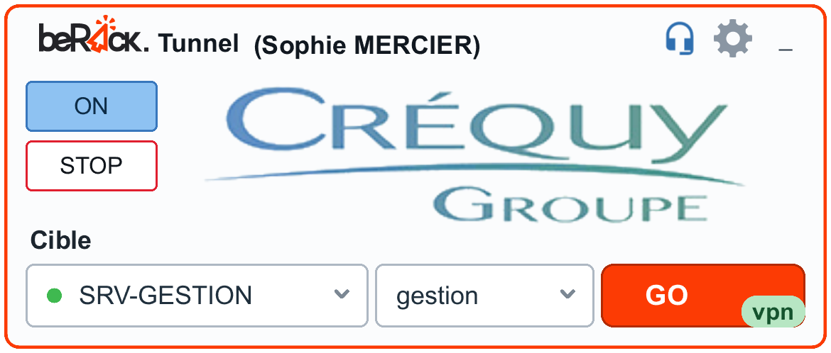 Fenêtre de l'application : un utilisateur connecté, sa liste de serveurs et le bouton GO.